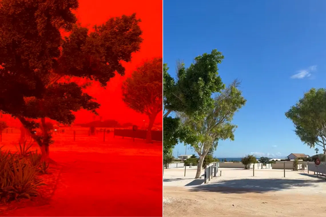At the Shark Bay Caravan Park in Denham, the sky glowed bright red on March 27 and drew out curious residents to gaze at the dazzling display, according to a video shared by the park.
