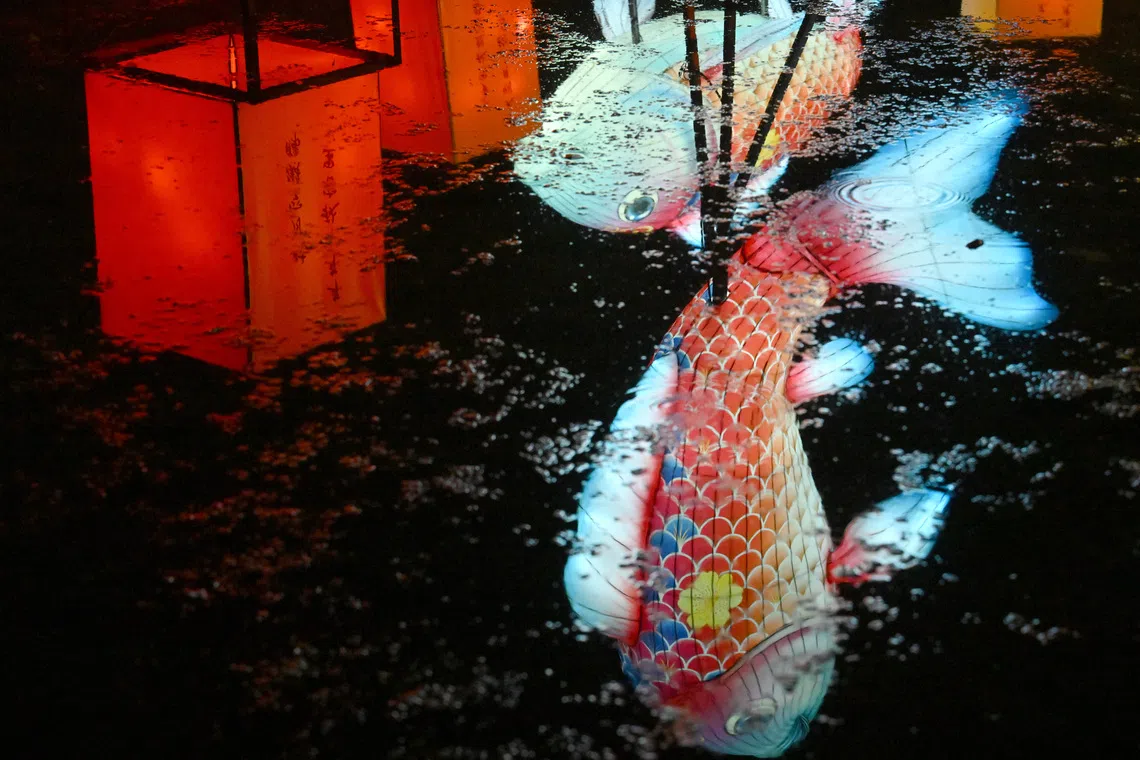 Reflections of koi-shaped lanterns at Resthouse Pond in the Japanese Gardens.