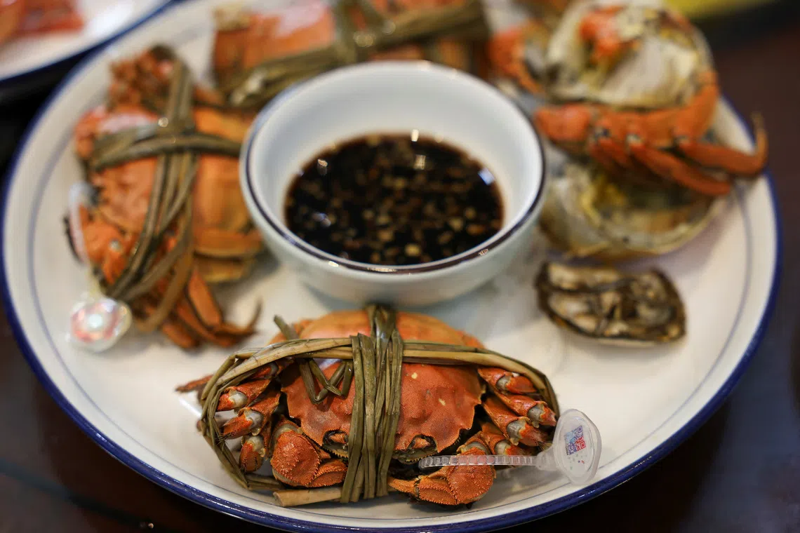 Steamed hairy crabs are one of China’s most esteemed culinary delicacies.