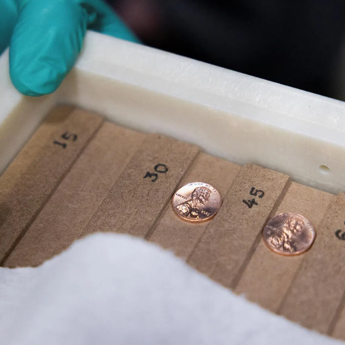 Two of the last struck pennies, during US Treasurer Brandon Beach's visit to strike the final five circulating one-cent coins or pennies, at the US Mint in Philadelphia.