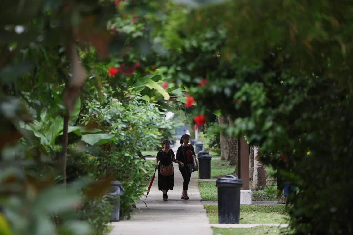 This would enable women to work from home, bring in an income and contribute to household expenses, while juggling all their caregiving duties at the same time.