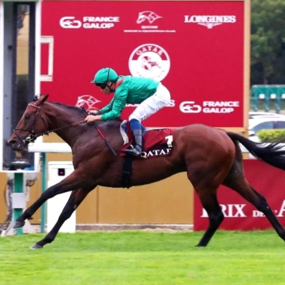Daryz
PHOTO:  FRANCE GALOP