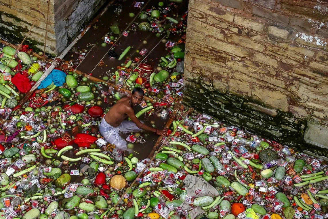 A volunteer segregating the fruits and vegetables offered by the Hindu devotee couples after taking a holy dip in the sacred Lolark Kund well, during the Lolark Shasthi festival, in Varanasi on Sep 9, 2024. 