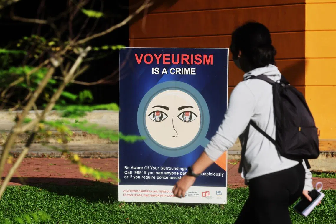The crimes of concern included shop theft, theft in dwelling, outrage of modesty and voyeurism.