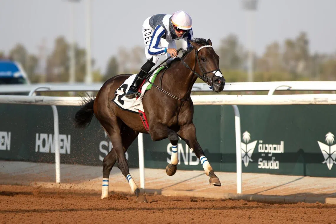 Alklothani (Adel Alfouraidi) winning the JCSA Sprint Cup Prep (1,200m) in Taif on Aug 15. The three-year-old gelding will be favoured to frank that form in the JCSA Sprint Cup over the same course and distance on Sept 11.

PHOTO:  JCSA