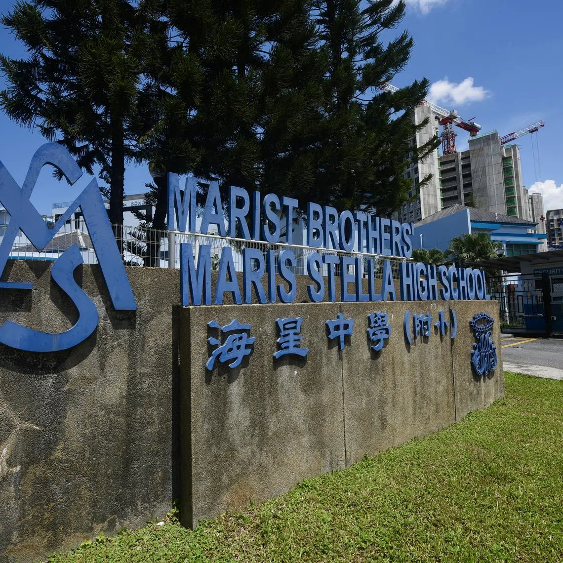 Some alumni said taking in girls could encourage more diversity in the school, in terms of CCA options.