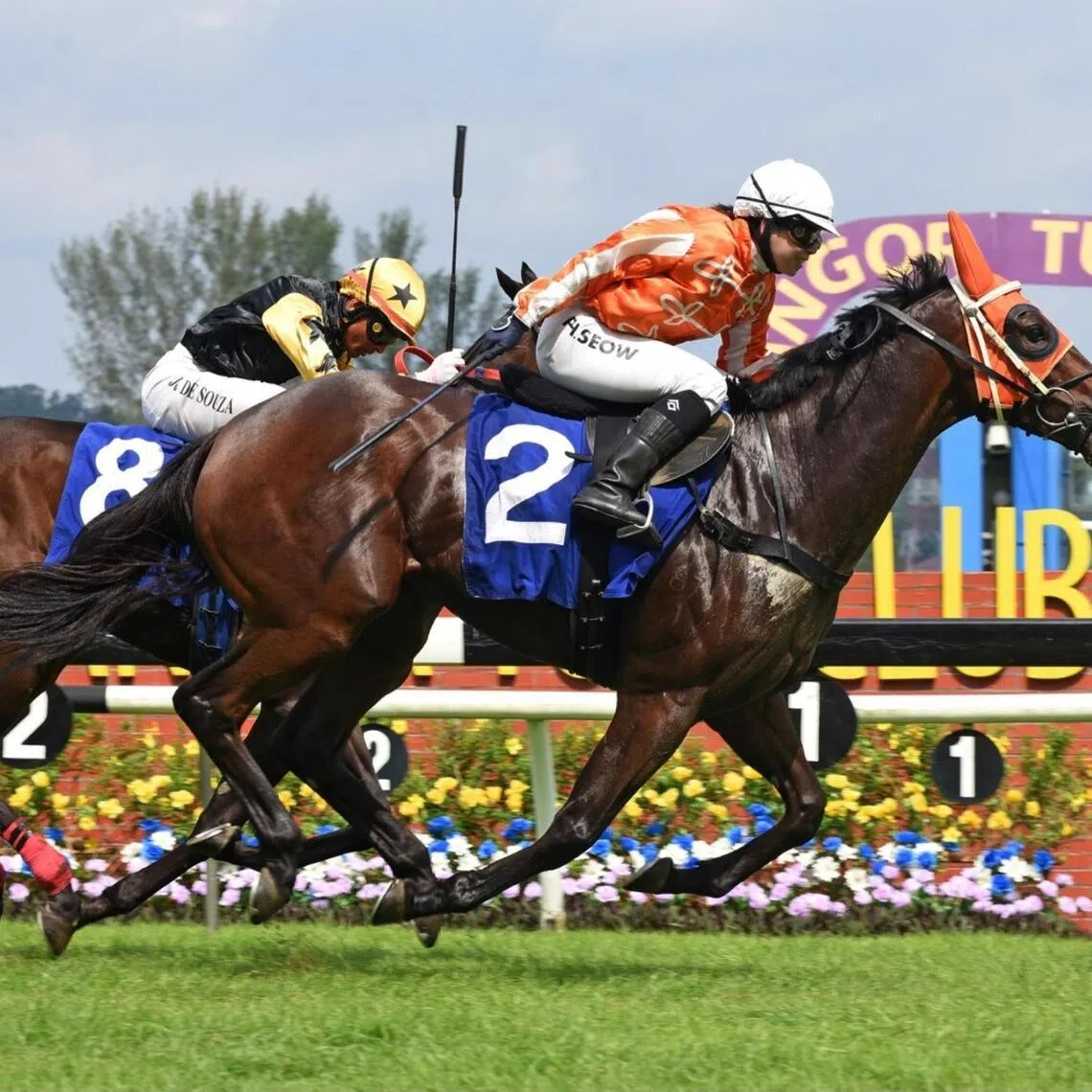 Pacific Energy - Pacific Energy

PHOTO:  SELANGOR TURF CLUB
upload this photo to ST Racing