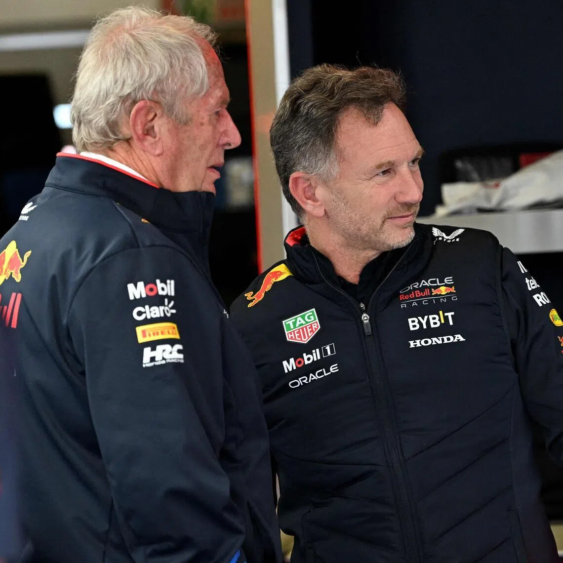 Former Red Bull boss Christian Horner is among a group eyeing a possible investment into F1 team Alpine.