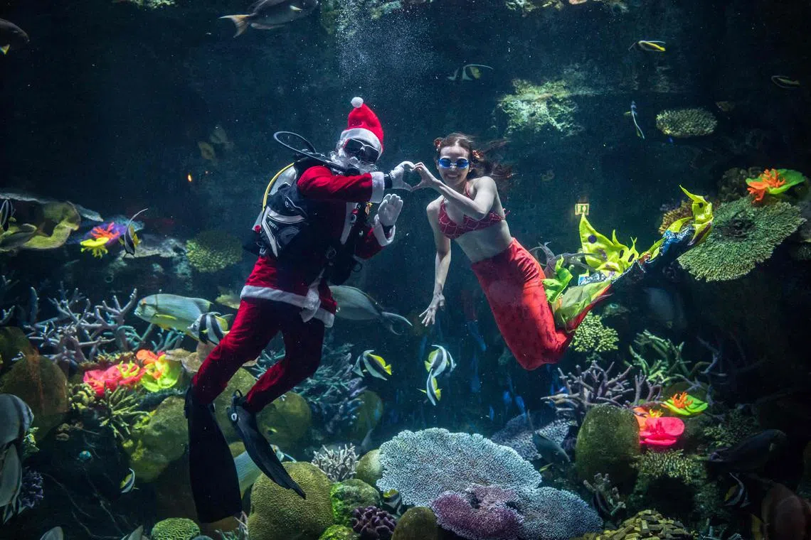 Divers dressed in Santa Claus and mermaid costumes pose for pictures at the Sea Life Bangkok Ocean World aquarium in Bangkok on December 21, 2022.