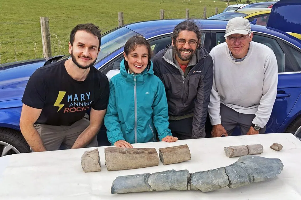 Researchers said on April 17, the bone, called a surangular, was from a type of ocean-going reptile called an ichthyosaur.