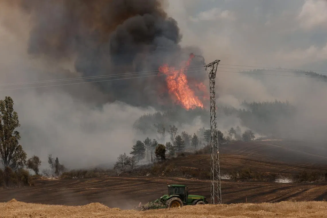 The fire started in the early hours of Saturday morning in El Pinar de Puntagorda, north of the island in the Canaries.
