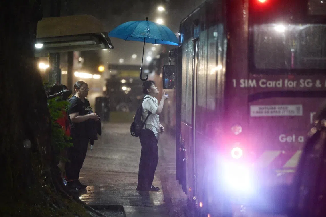 An umbrella wedged between a Causeway Link bus and a bus stop to shelter commuters boarding bus service CW5 at Newton Circus on Jan 10, 2025. Temperatures reached 22.2 deg celcius at Newton at 5.56pm at Newton earlier. 