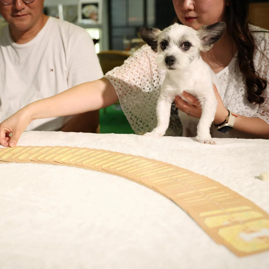 Ryu Su-mi and her dog E-seul get a pet tarot reading at a pet tarot cafe in Seoul, South Korea.