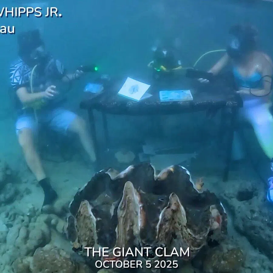 Mr Whipps (left) in underwater gear speaking with a “mermaid” – Estonian Olympic swimmer and activist Merle Liivand.
