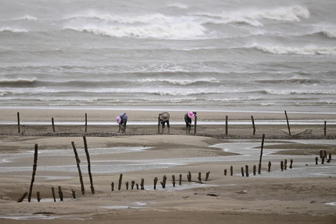epa10771896 Fishermen finish off their work at the beach as Typhoon Doksuri approaches in Fuzhou, China, 27 July 2023. The China Meteorological Administration raised its emergency responses for typhoons to Level I, the highest level, on 27 July as Doksuri turned into a super typhoon. Doksuri is expected to make landfall in the coastal areas between Dongshan and Putian in east China's Fujian Province on the morning of 28 July, the administration said.  EPA-EFE/XINHUA / Wei Peiquan CHINA OUT / MANDATORY CREDIT  EDITORIAL USE ONLY