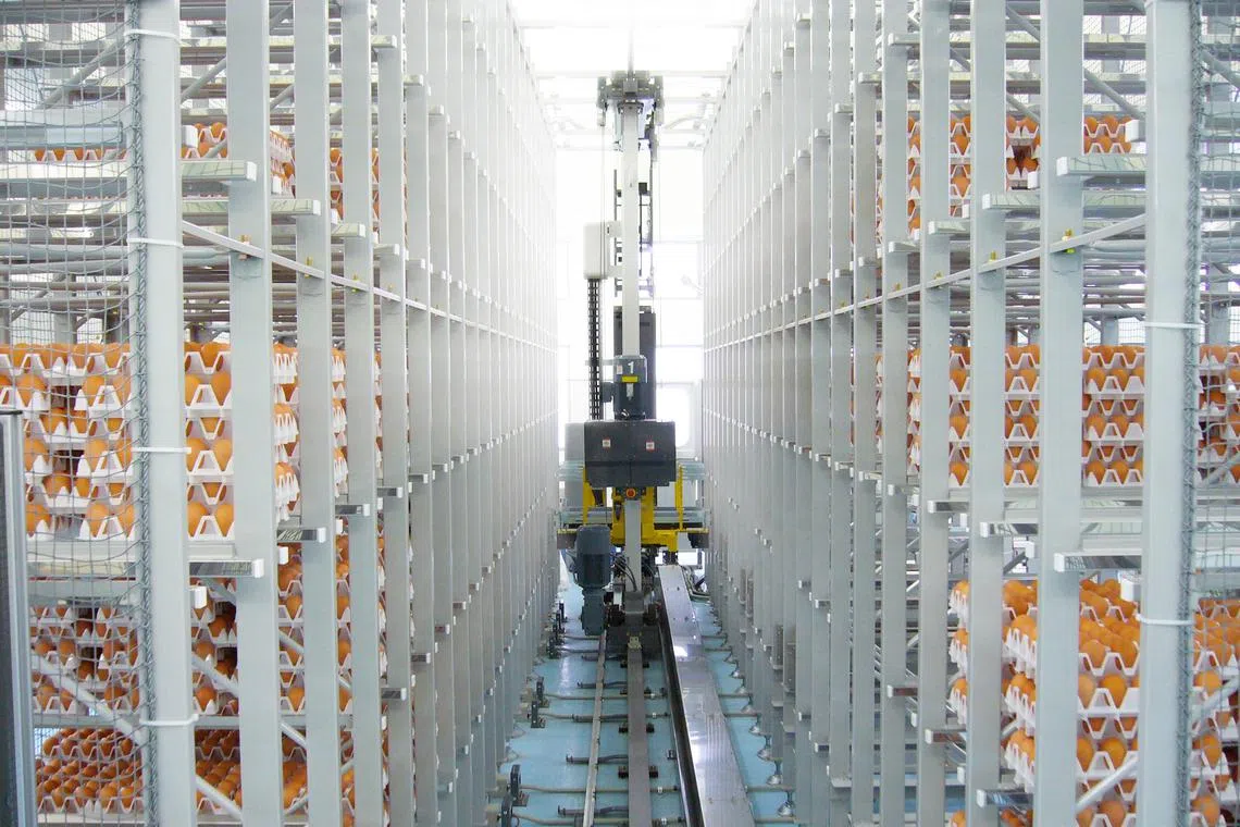 ISE Food Holdings' facilities in Singapore will feature state-of-the-art technology such as artificial intelligence.