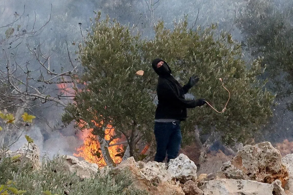 An Israeli settler casting a stone towards Palestinians in the West Bank on Oct 16, amid clashes during the Palestinians’ olive harvest.