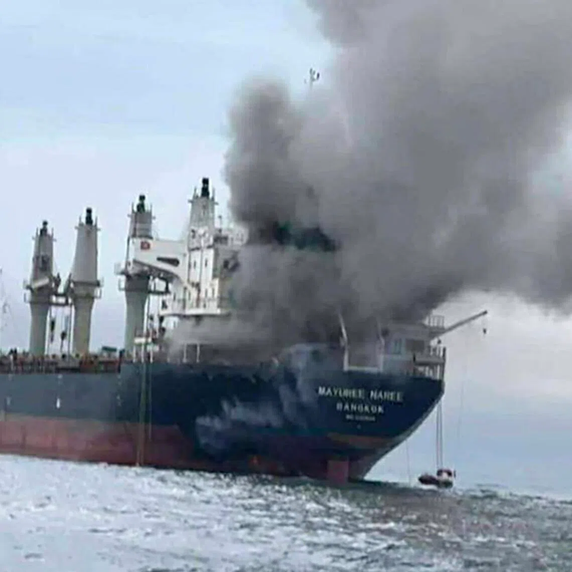 The Thai‑flagged cargo ship Mayuree Naree was also hit by Iranian missiles in the Strait of Hormuz earlier on March 11, 2026.