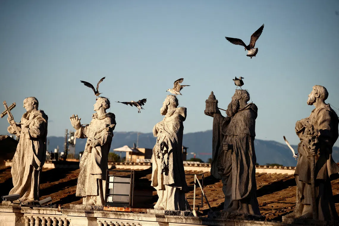 FILE PHOTO: Seagulls fly over statues on the colonnade of St. Peter's Square during the welcome Mass of the Jubilee of Youth in St. Peter's Square, at the Vatican, July 29, 2025. REUTERS/Yara Nardi/File Photo