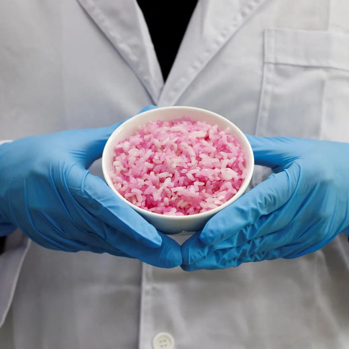 The beef rice contains approximately 8 per cent more protein and 7 per cent more fat than conventional rice. 