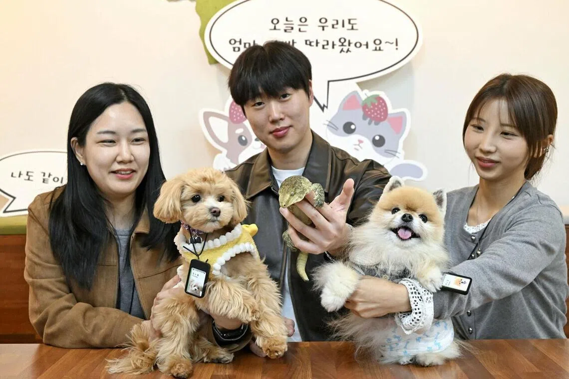 From puppies to lizards, South Korean workplaces go pet-friendly