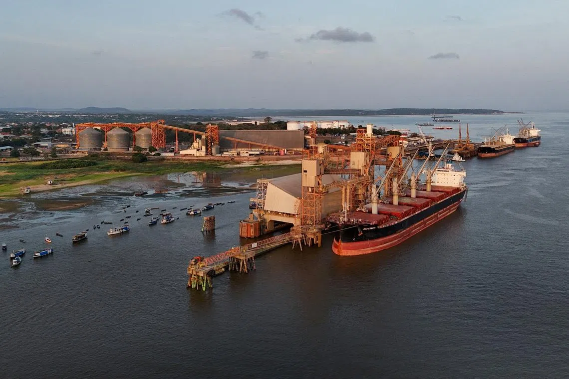 Brazil court reinstates order to free up access to Cargill's Santarem port terminal