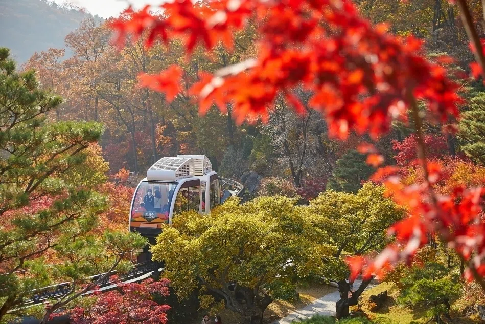 Hwadam Botanic Garden in Gwangju, Gyeonggi Province.
