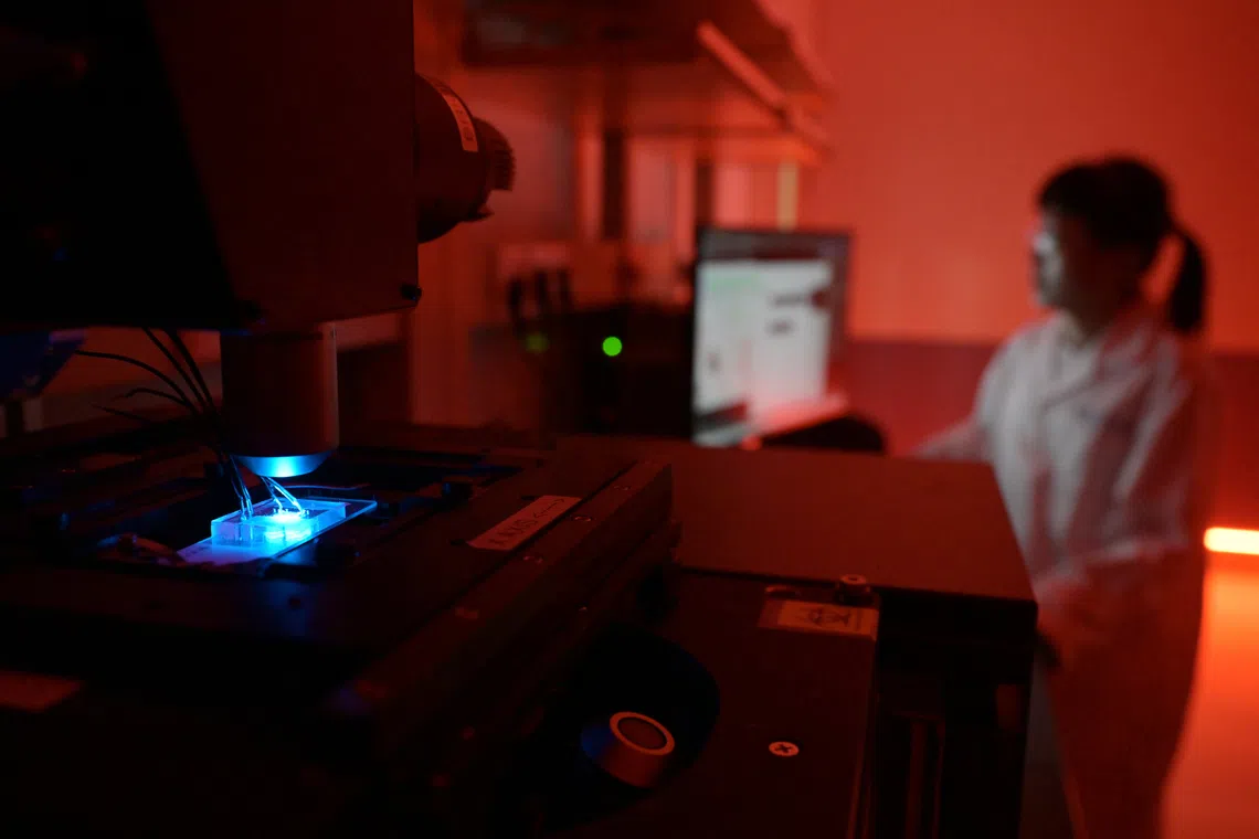 The National Centre for Engineering Biology will develop knowledge and technologies in engineering biology for AI-guided sustainable biomanufacturing of chemicals and materials.