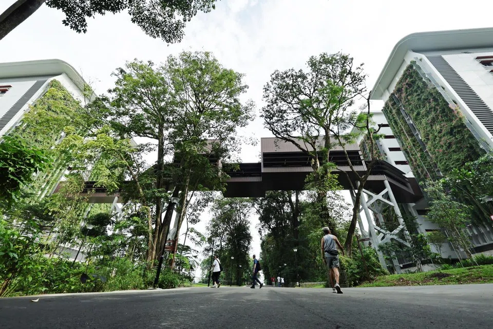 Détail paysager du Sentier du Patrimoine Punggol