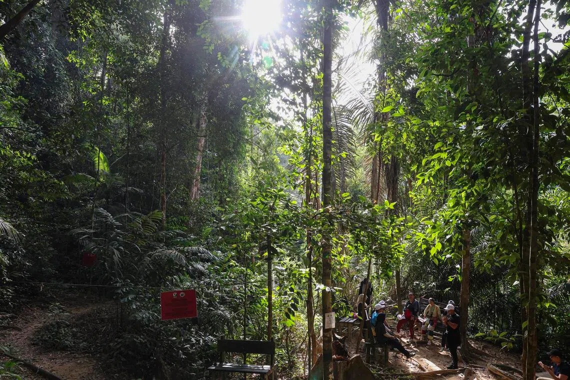 Malaysia tightens hiking rules to reduce accidents, search and rescue ops
