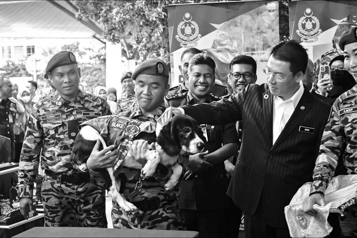 A photo posted online by KPKT Malaysia in tribute to Blake, who was euthanised due to stage four cancer.