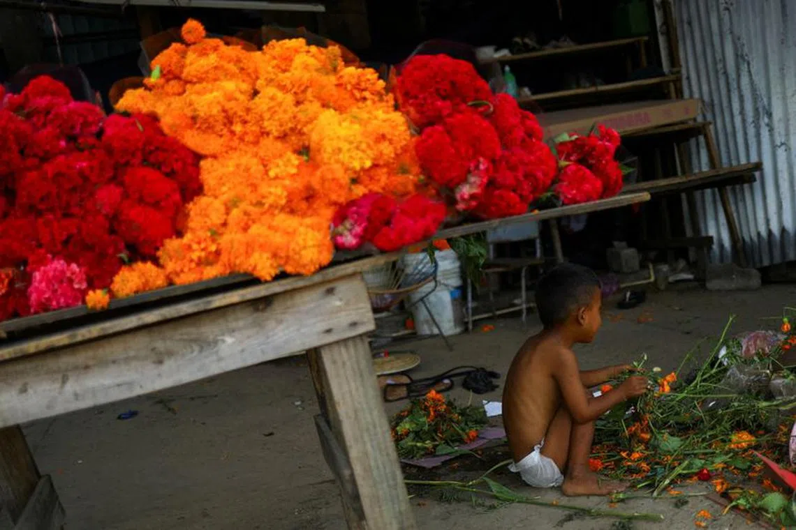 FILE PHOTO: Teo, a 4-year-old, sits next to bundle of Cempasuchil Marigolds, flowers used during Mexico's Day of the Dead celebrations, in the aftermath of Hurricane Otis, at the Las Cruces cemetery, in Acapulco, Mexico, November 1, 2023. Reuters/Jose Luis Gonzalez/File Photo