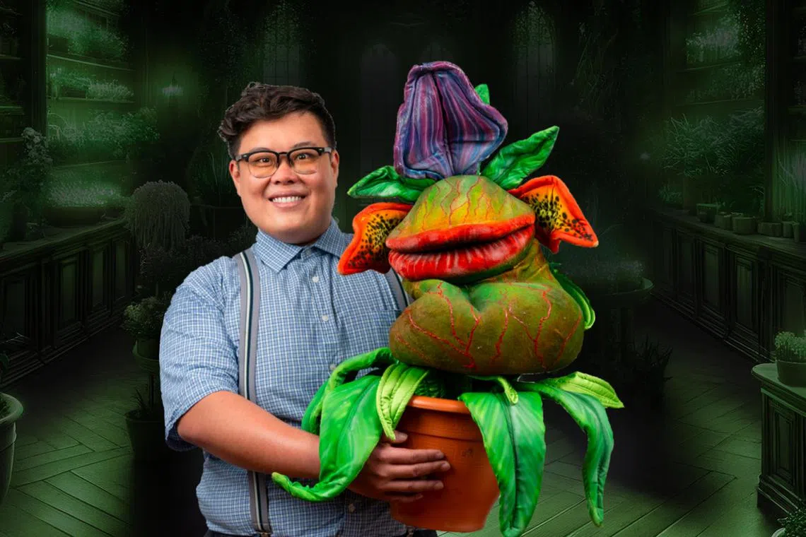 Award-winning actor Andrew Marko plays Seymour in Sing'Theatre's staging of horror comedy rock musical Little Shop of Horrors.