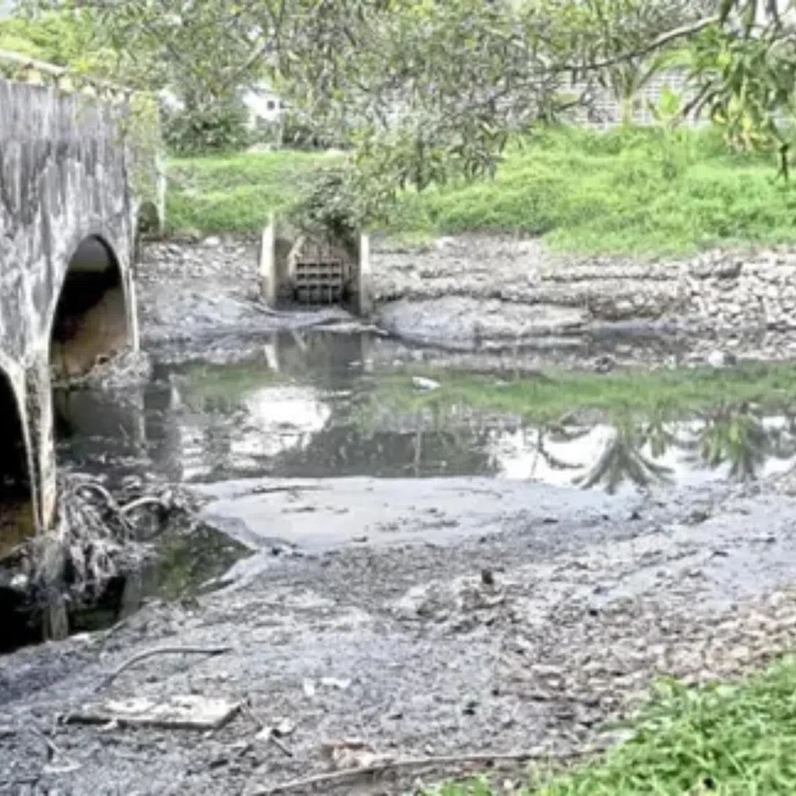 Floating rubbish often accumulates alongside riverbanks, creating a foul stench.