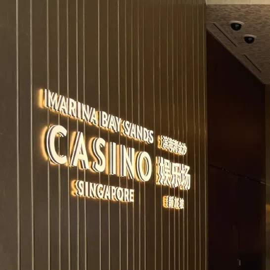 The number of annual levies purchased by Singapore citizens and PRs fell by about 400 from 2023 to 2024.