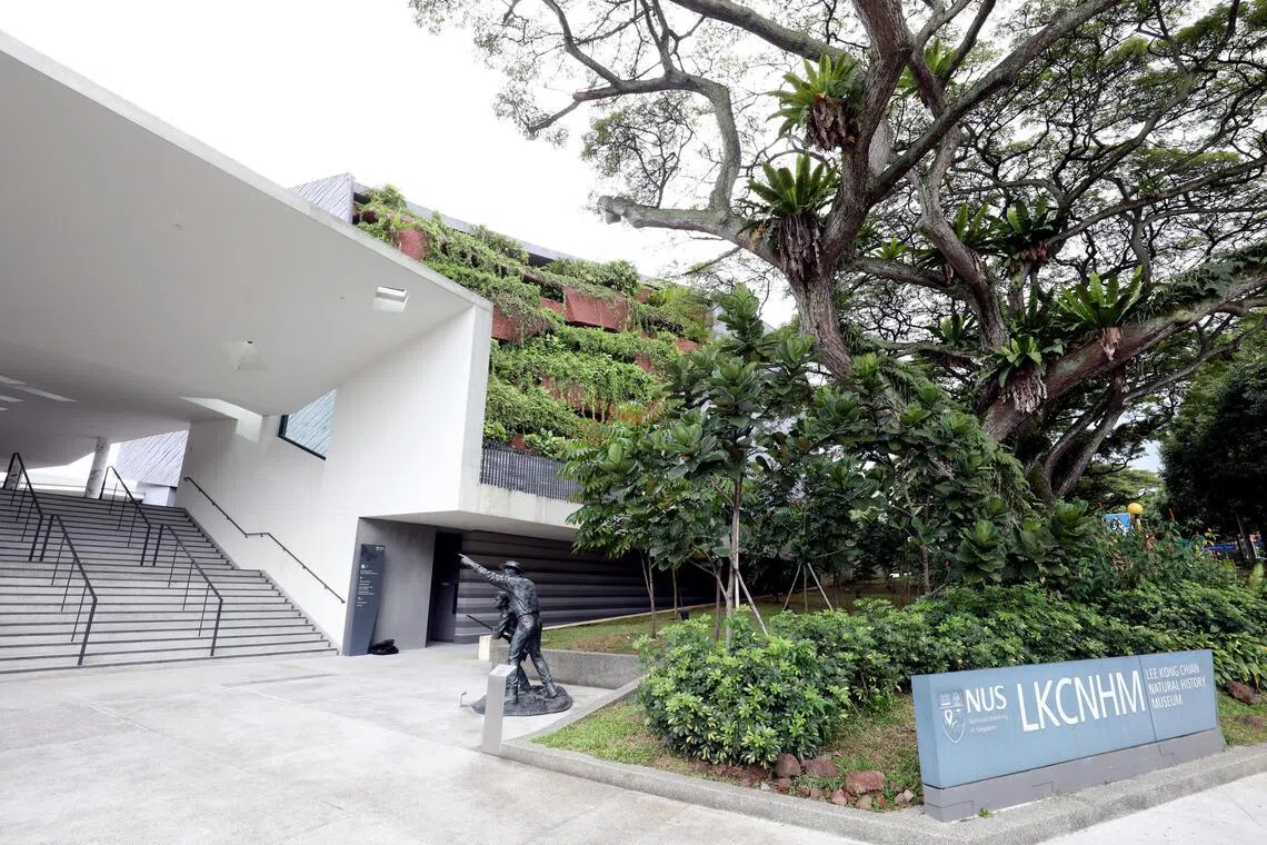 新加坡国立大学李光前自然历史博物馆（Lee Kong Chian Natural History Museum，简称LKCNHM）外观。