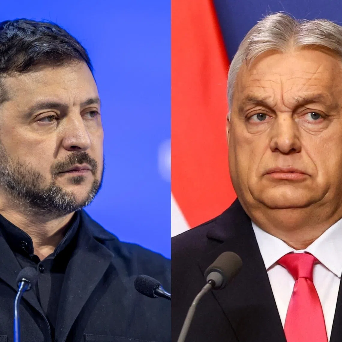 Ukrainian President Volodymyr Zelensky (left) took a swipe at Hungarian Prime Minister Viktor Orban in his speech in Davos on Jan 22.