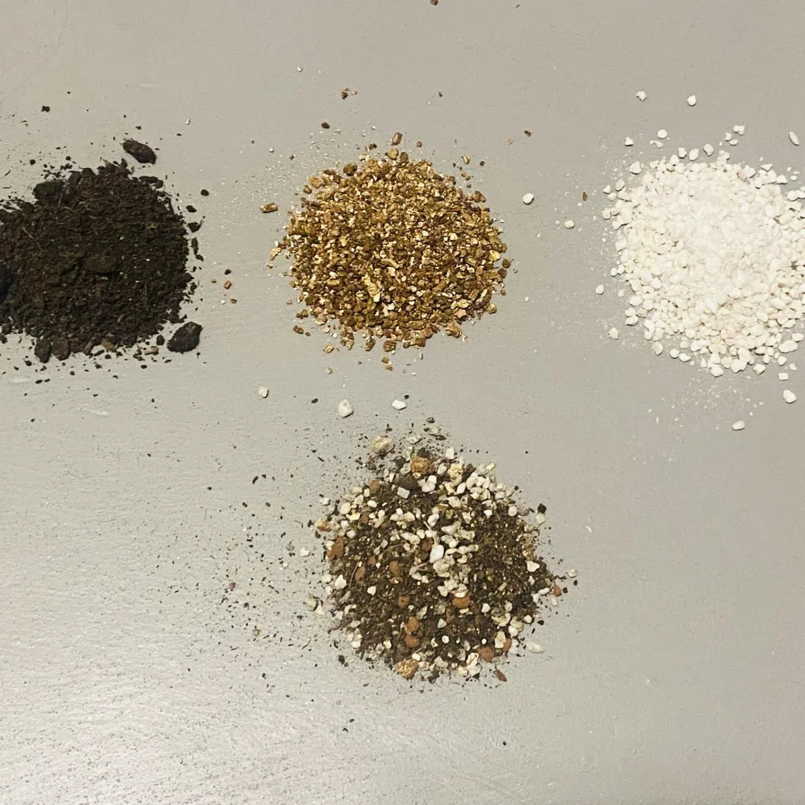 A soil-less mix can be made by mixing (top, from left) peat moss, vermiculite and perlite, in equal parts. The resulting mix (bottom) is porous but moisture-retentive enough to raise seeds and grow a variety of plants.