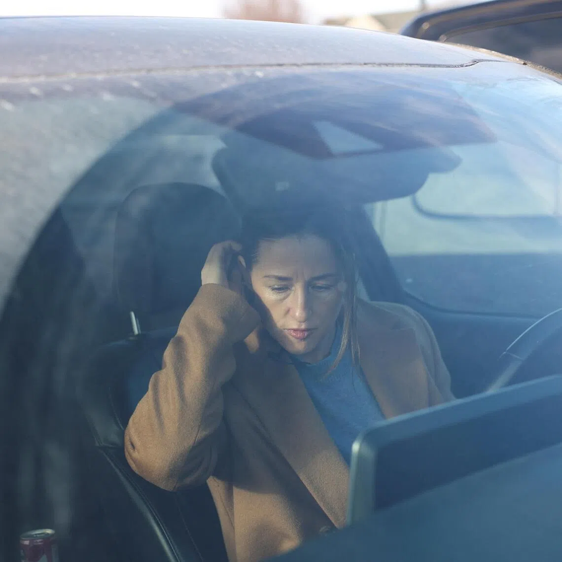 Ms Becky Ringstrom was detained by federal immigration agents, after deciding to follow them in her car, in Blaine, Minnesota. 