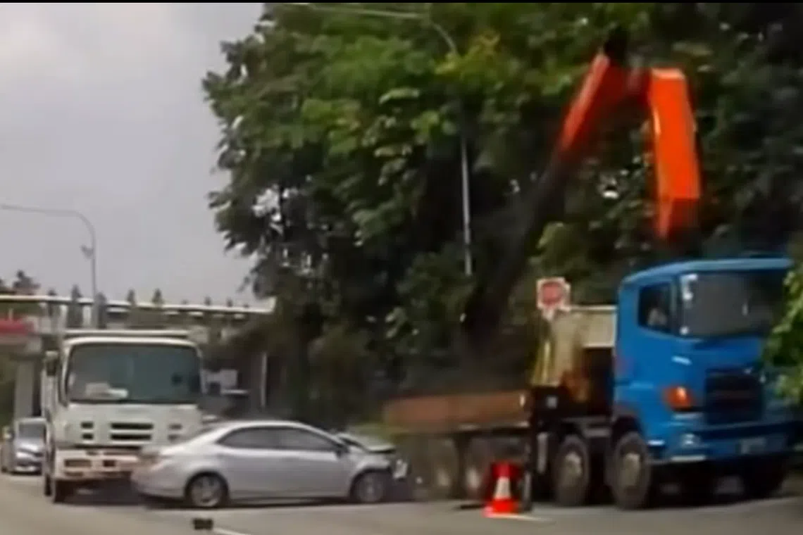 None of the workers involved in the the tree pruning were injured. 