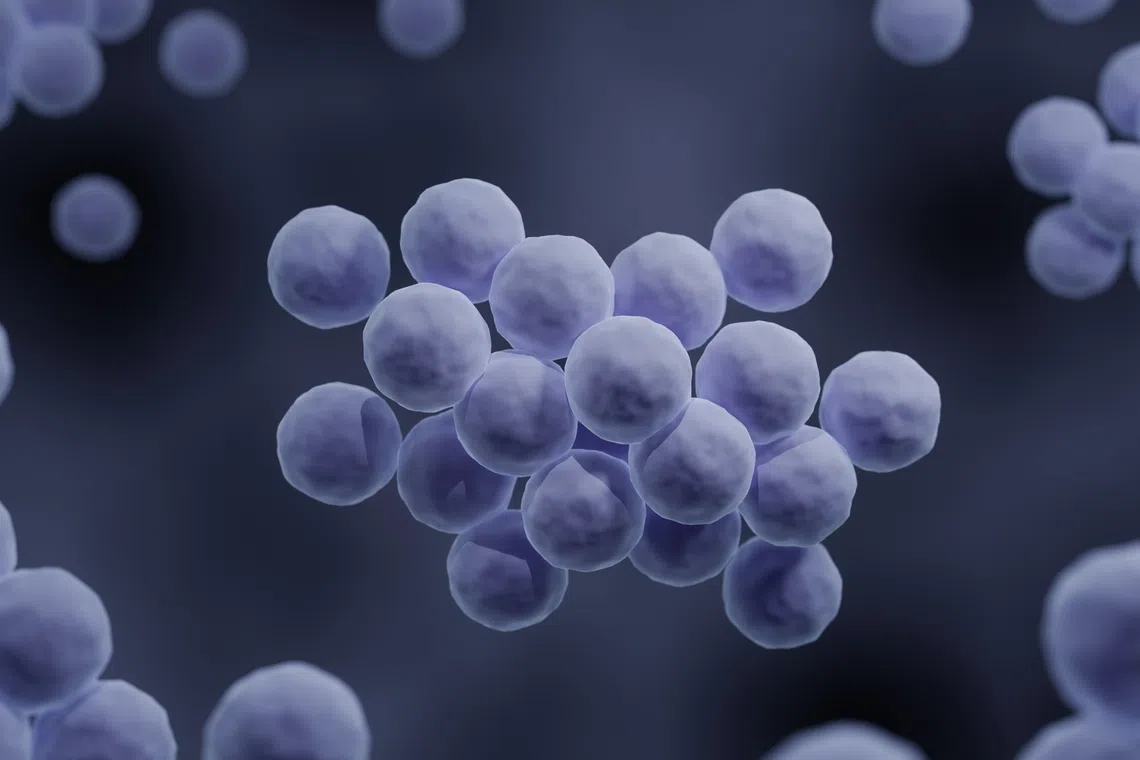 Currently, the country’s AMR rate for a number of infections such as the Methicillin-resistant Staphylococcus aureusinfection is lower than the global rate.