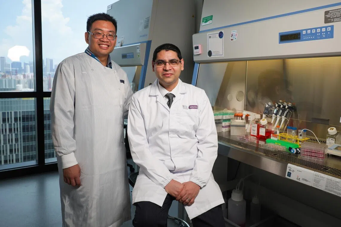 Dr Conrad Chan (left), Senior Principal Scientific Officer at the Programme for Research in Epidemic Preparedness and Response Laboratory under the Communicable Diseases Agency; and Prof Sanjay Chotirmall, NTU LKCMedicine Vice Dean (Research) and Provost’s Chair in Molecular Medicine; at cell tissue culture lab, LKCMedicine on Apr 14.
