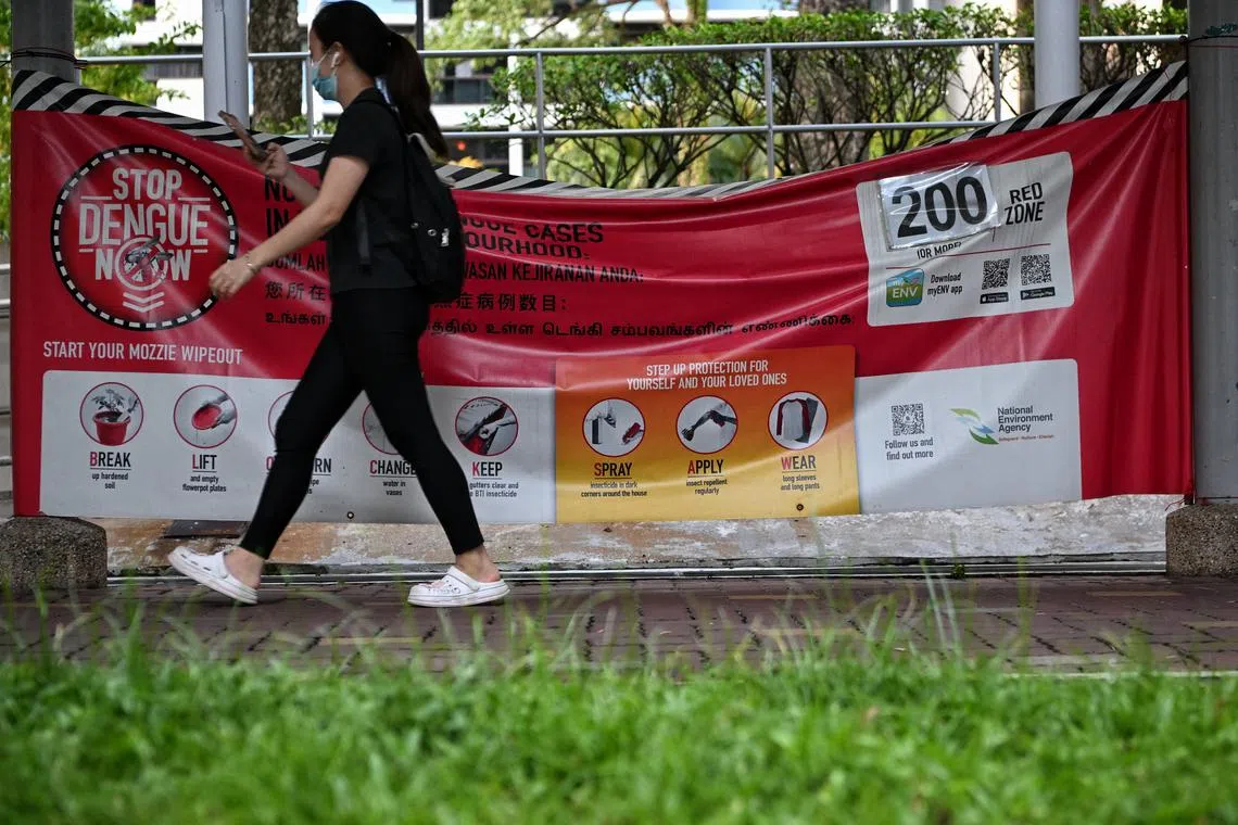 As at Nov 4, there were 8,437 dengue cases reported so far in 2023 – about a quarter of the 32,325 cases recorded in 2022.