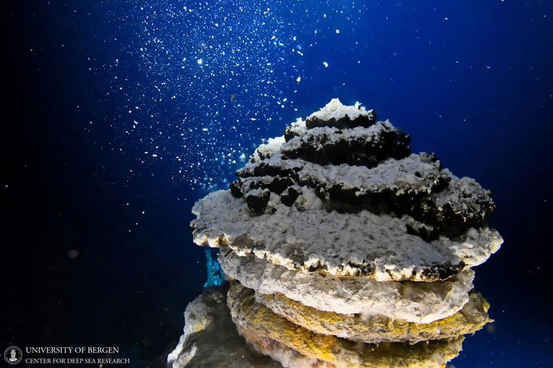 A view shows an active venting chimney at the Jan Mayen Vent Fields on the Arctic Mid-Oceanic Ridge and a lot of white microbial mats cover the chimney, at a depth of around 500m, in this undated handout picture. University of Bergen, Centre for Deep Sea Research/Handout via REUTERS/File Photo