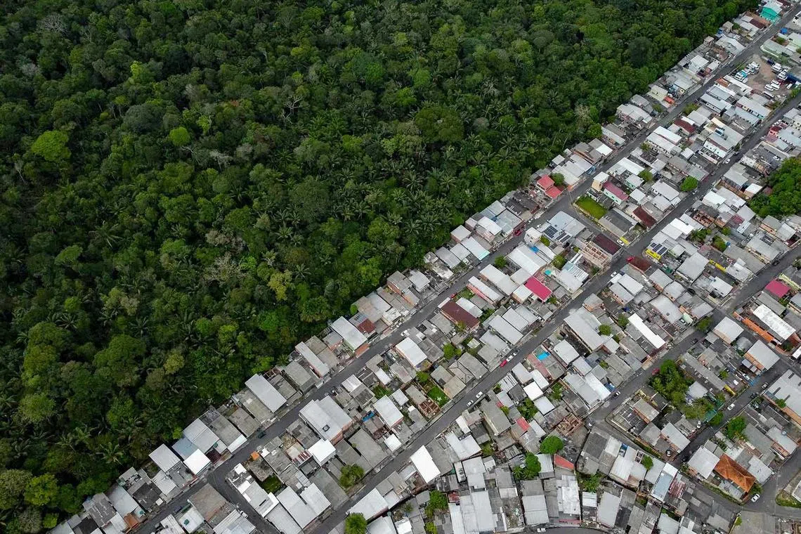Aerial view of the Amazonia rainforest side by side with houses of the neighborhood Coroado located in the east zone of Manaus, Amazonas state, Brazil on June 5.