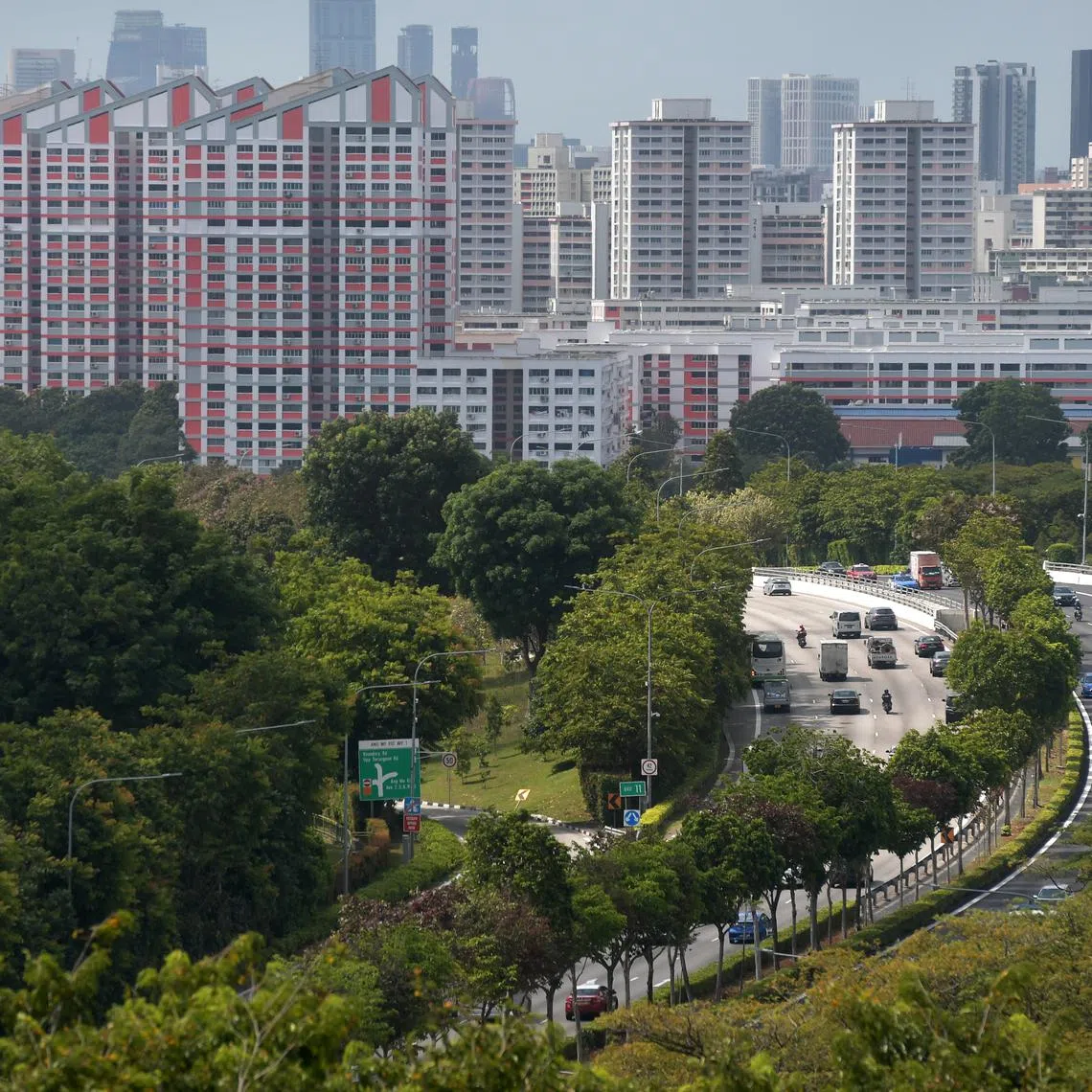 Families, particularly multi-generational ones or those living with extended family members, tended to opt for more spacious homes in the suburbs and had at least one car. 