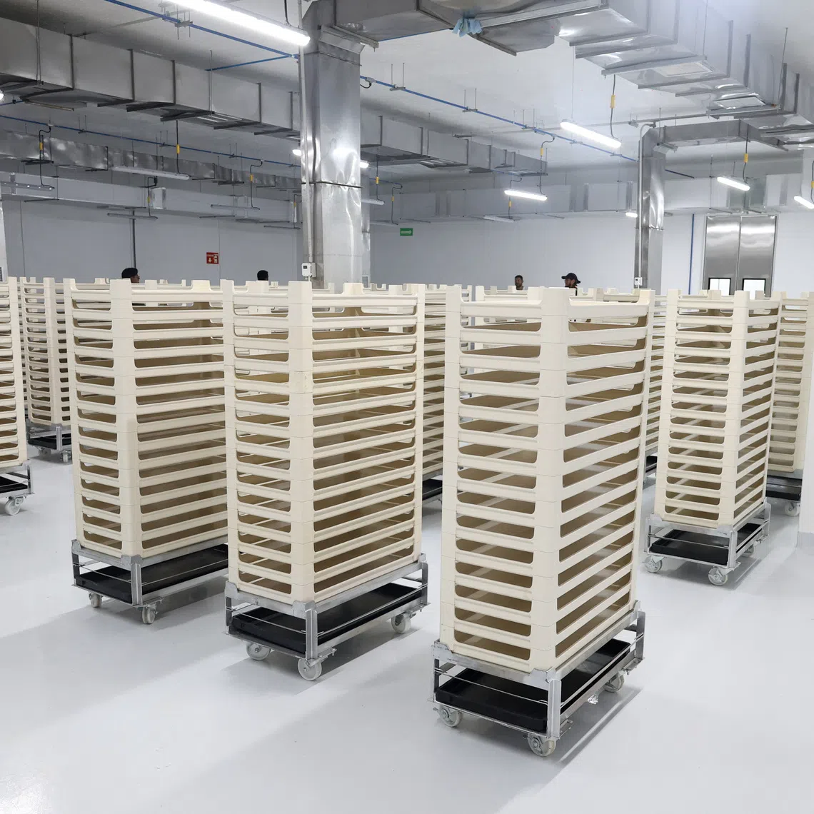 A view of the larval growth area during a media tour following the opening of a sterile fly production plant, a key step to contain the cross-border spread of the New World screwworm and its impact on cattle trade, in Metapa de Dominguez, Chiapas, Mexico, June 27, 2026. REUTERS/Damian Sanchez