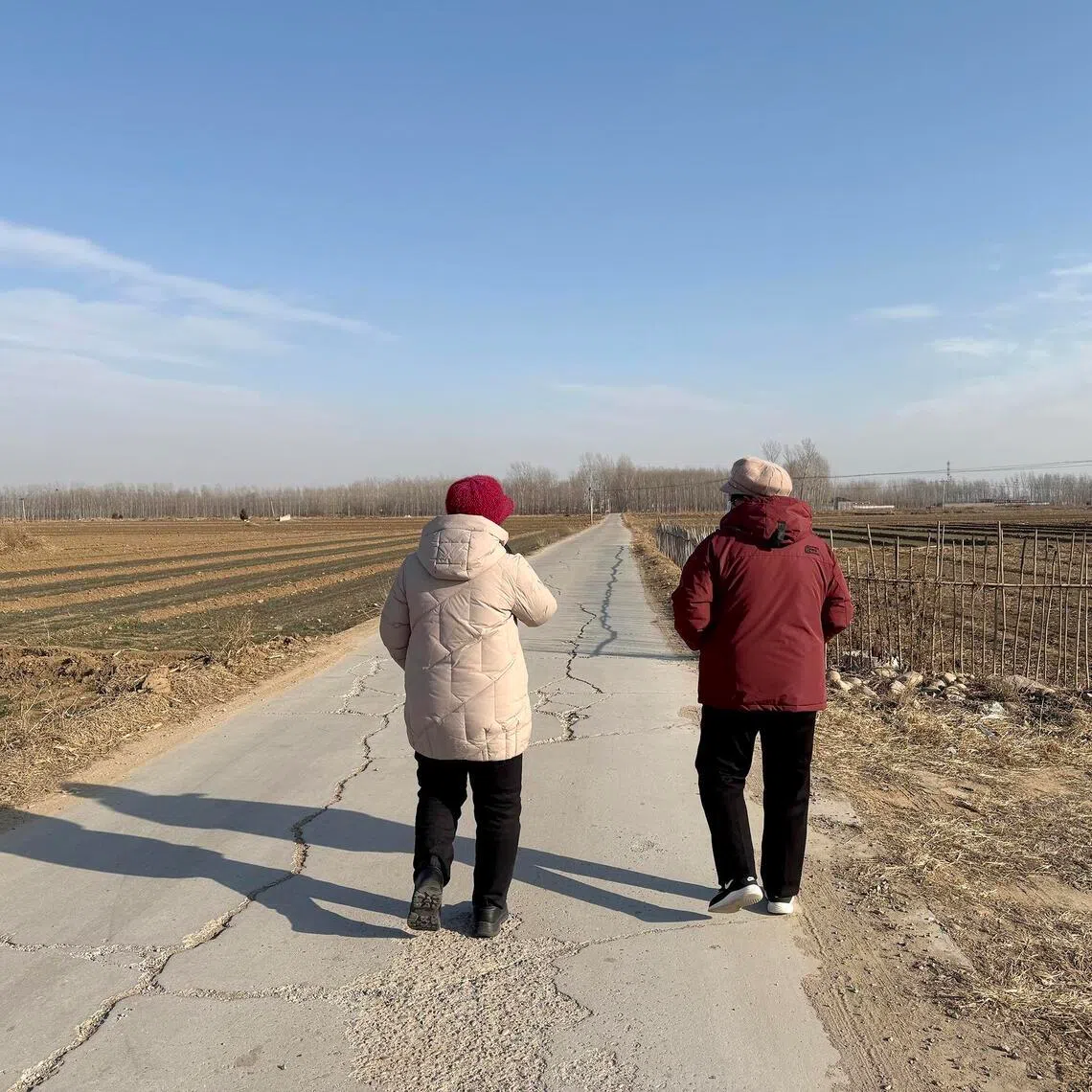 ltopinion19 - Ms Liu (right) and her neighbour sunbathe as they walk through wheat fields still dormant in winter on a January afternoon in a village in Baoding, Hebei province, China.
ST PHOTO: YEW LUN TIAN