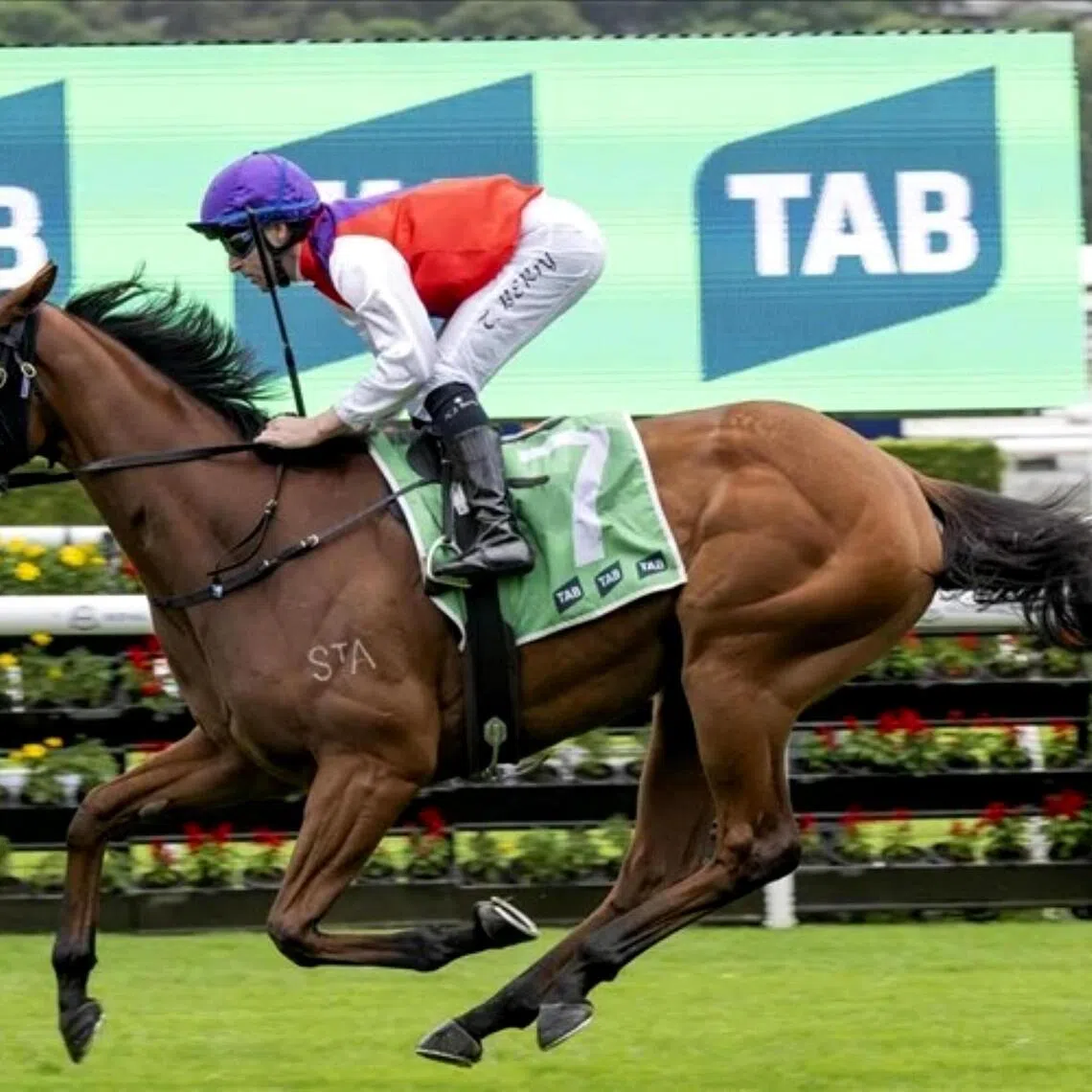 The Michael Freedman-owned and Lee Freedman-part-owned Profoundly scoring an easy win in the Group 3 Adrian Knox Stakes (2,000m) at Randwick on April 4. The Farnan filly will start as the second favourite after Group 1 New Zealand Oaks (2,400m) winner Ohope Wins in the Group 1 Australian Oaks (2,400m) at the same track on April 11.