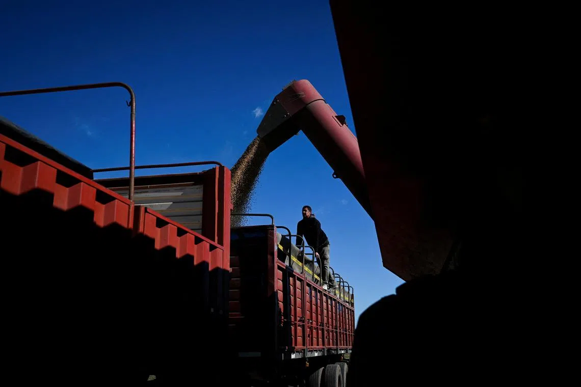 Argentina's soy farmers race ahead with harvest to beat the rains